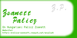 zsanett palicz business card